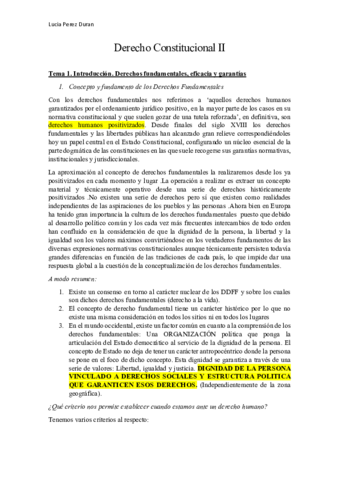 Apuntes-Definitivos-Derechos-Constitucional.pdf