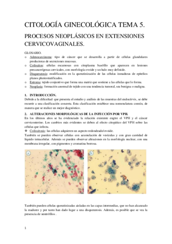 Tema 5 Citología Ginecológica.pdf