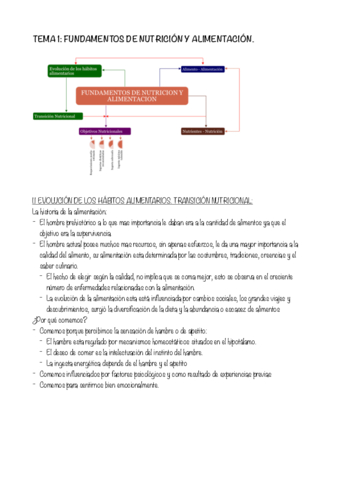 Tema-1.pdf