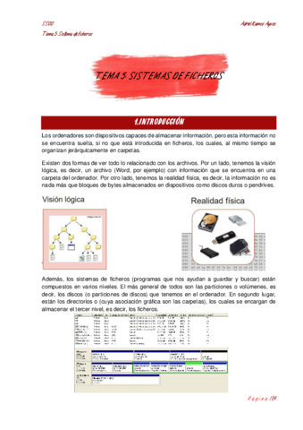 TEMA5-Sistemas-de-Ficheros.pdf
