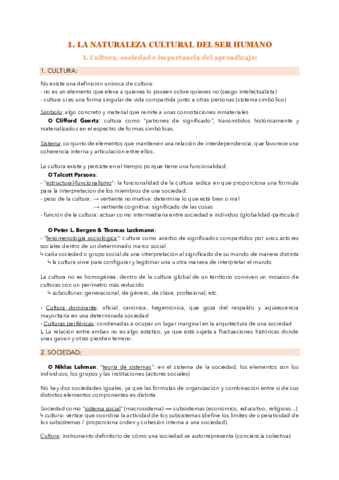 IFE Tema 1.pdf