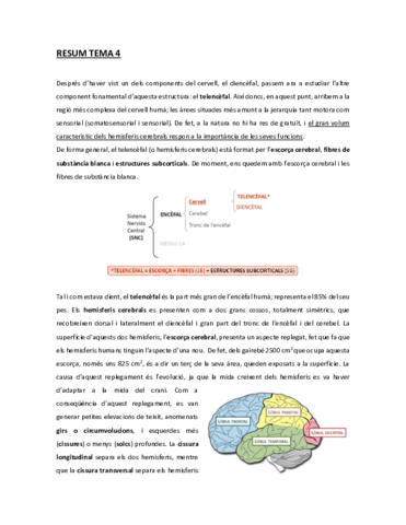 Resum-Tema-4.pdf