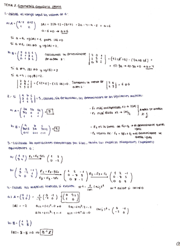 Tema-2--Geometria-analitica-plana.pdf