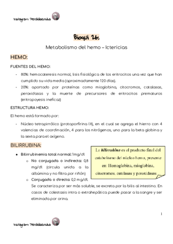 Bioqui-26-ictericias.pdf