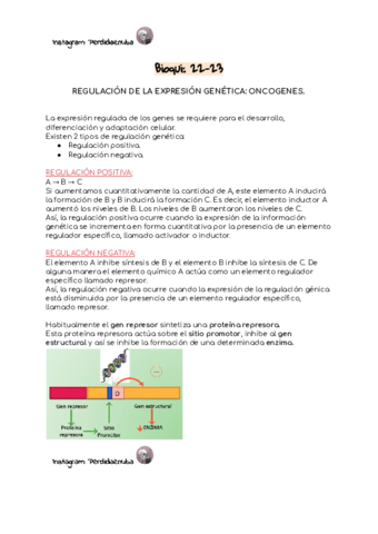 22-23-Reg-Exp-Gen.pdf