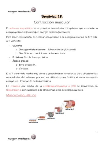 Bioquimica-28-Contraccion-muscular.pdf