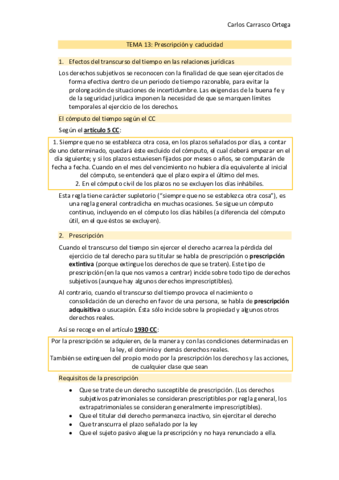 TEMA-13-CIVIL.pdf