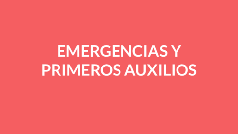 Lucia-Montero-Gonzalez-TRABAJO-GRUPO-DE-EXPERTOS-TEMA-3.pdf