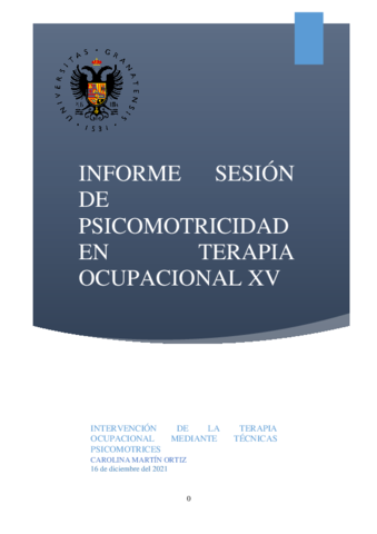 INFORME-SESION-DE-PSICOMOTRICIDAD-EN-TERAPIA-OCUPACIONAL-XV.pdf