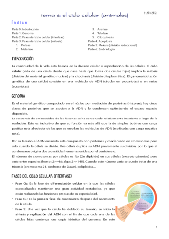 TEMA-6.pdf