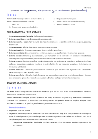 TEMA-6.pdf