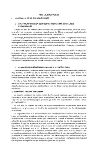 TEMARIO-FUNCION-PUBLICA.pdf