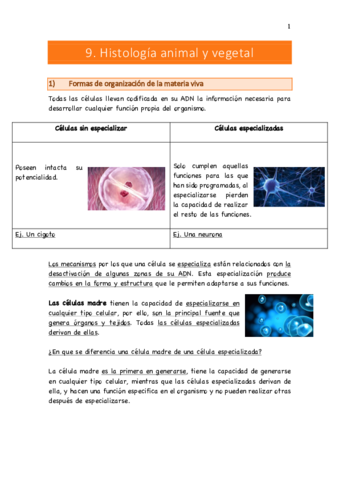 Histologia-animal-y-vegetal.pdf