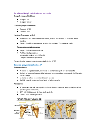 Estudio-radiologico-tema-2.pdf