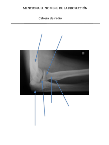 Actividad-de-repaso-EESS.pdf