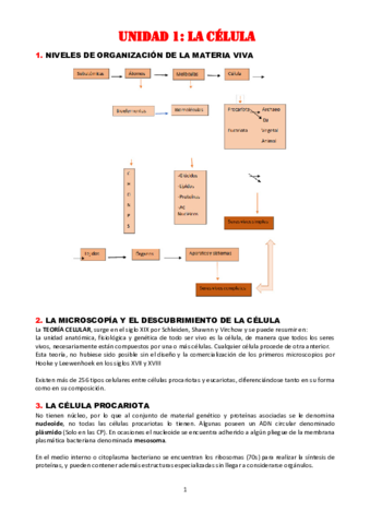 T1. LA CÉLULA.pdf