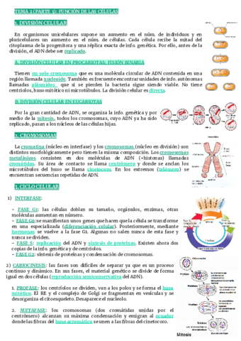 TEMA-2-FUNCION-DE-LAS-CELULAS.pdf