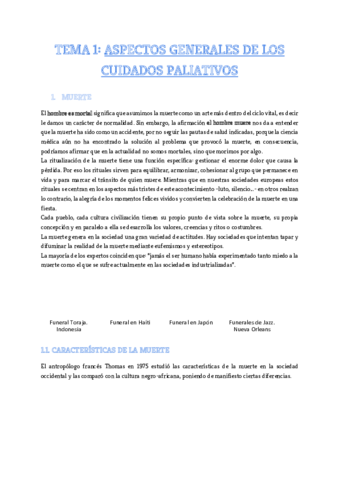Tema-1.pdf