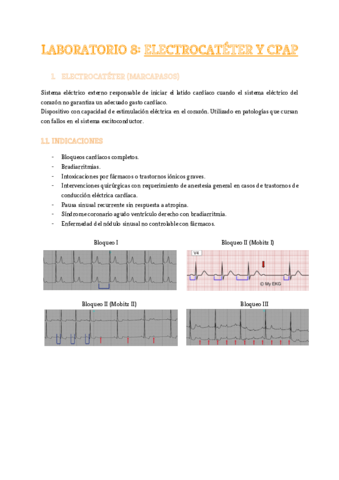 Laboratorio-8.pdf