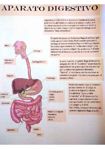 PDF-Biologia-1.pdf