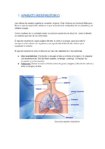 APARATO-RESPIRATORIO-Y-LAS-ENFERMEDADES-DEL-APARATO-RESPIRATORIO-Y-DIGESTIVO.pdf