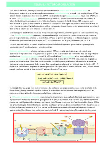 fotofosforilaciontema-9.pdf