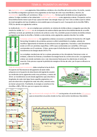 pigmentos-antenatema-8.pdf