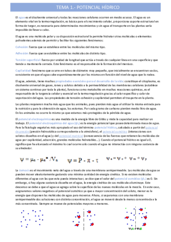 potencial-hidricotema-1.pdf