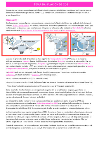 fijacion-de-CO2tema-10.pdf