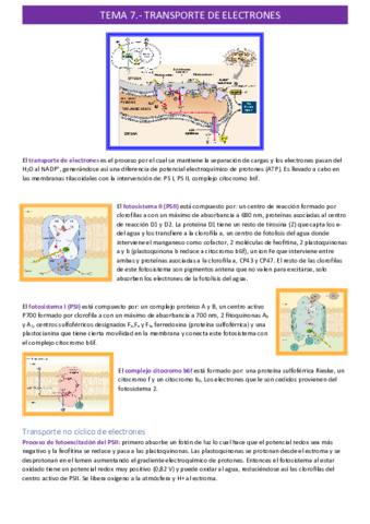 transporte-de-electronestema-7.pdf