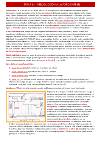 introduccion-a-la-fotosintesistema-6.pdf