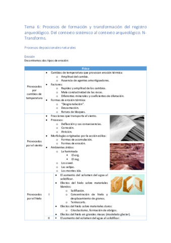 Tema-6-Procesos-de-formacion-y-transformacion-del-registro-arqueologico.pdf