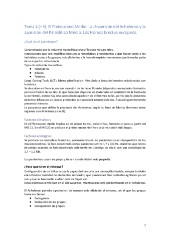 Tema-4-La-dispersion-del-Achelense-y-la-aparicion-del-Paleolitico-Medio.pdf