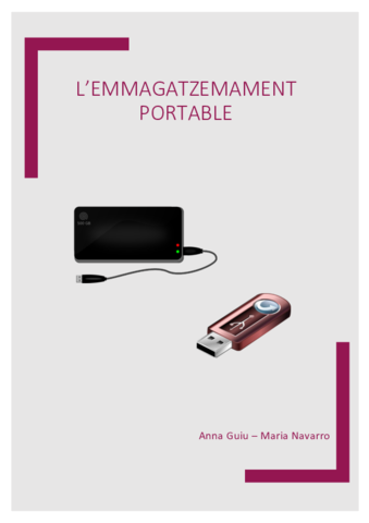 EMMAGATZEMAMENT-PORTABLE.pdf