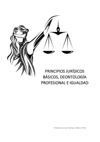 Principios-juridicos-basicos.pdf