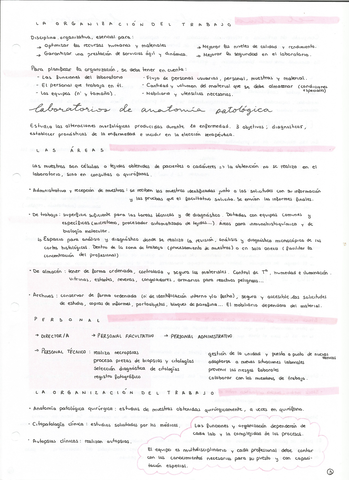 Tema-2-3.jpg