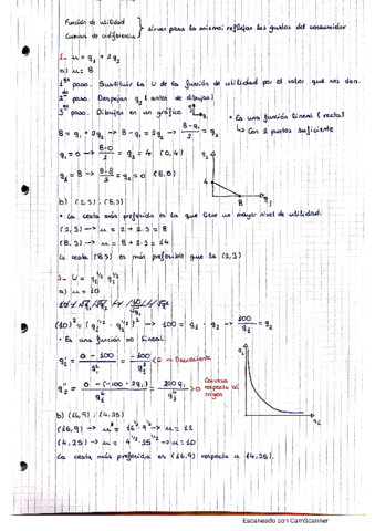 Apuntes-Micro.pdf