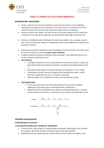 TEMA-11.pdf