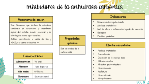 Inhibidores-de-la-anhidrasa-carbonica-.pdf