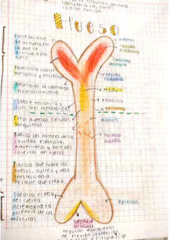 Biologia-2-Resumen-tareas-1.pdf