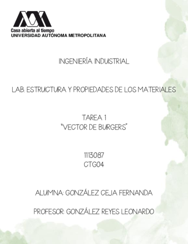 T1-VECTOR-BURGERS-GONZALEZ-CEJA-FERNANDA.pdf