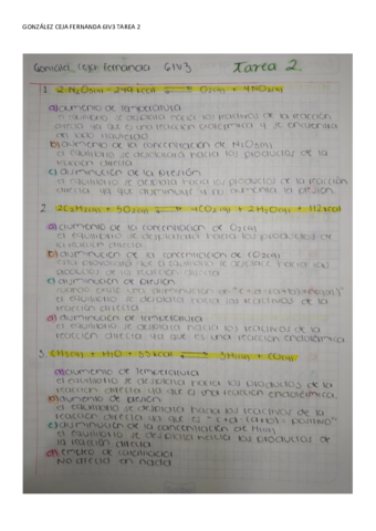 TAREA-2-Gonzalez-Ceja-Fernanda-6IV3.pdf