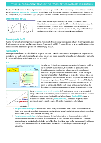 factores-ambientales-regulan-fotosintesistema-11.pdf