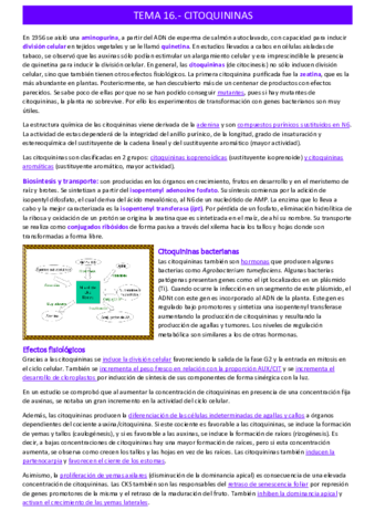 citoquininastema-16.pdf