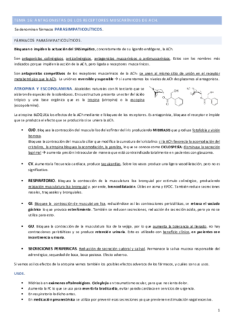 Tema-16.pdf