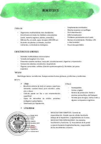 Nematodos.pdf