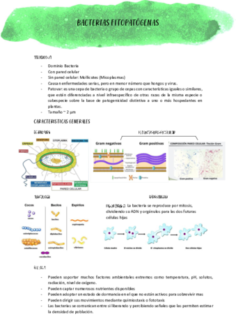 Bacterias.pdf