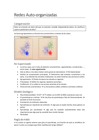 Redes-No-Supervisadas.pdf