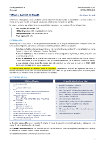 Tema-11-Cancer-de-mama.pdf