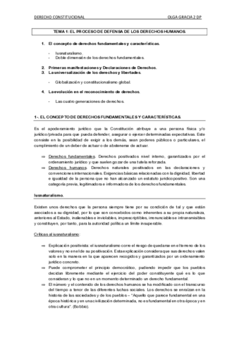 CONSTI-DEFINITIVO.pdf